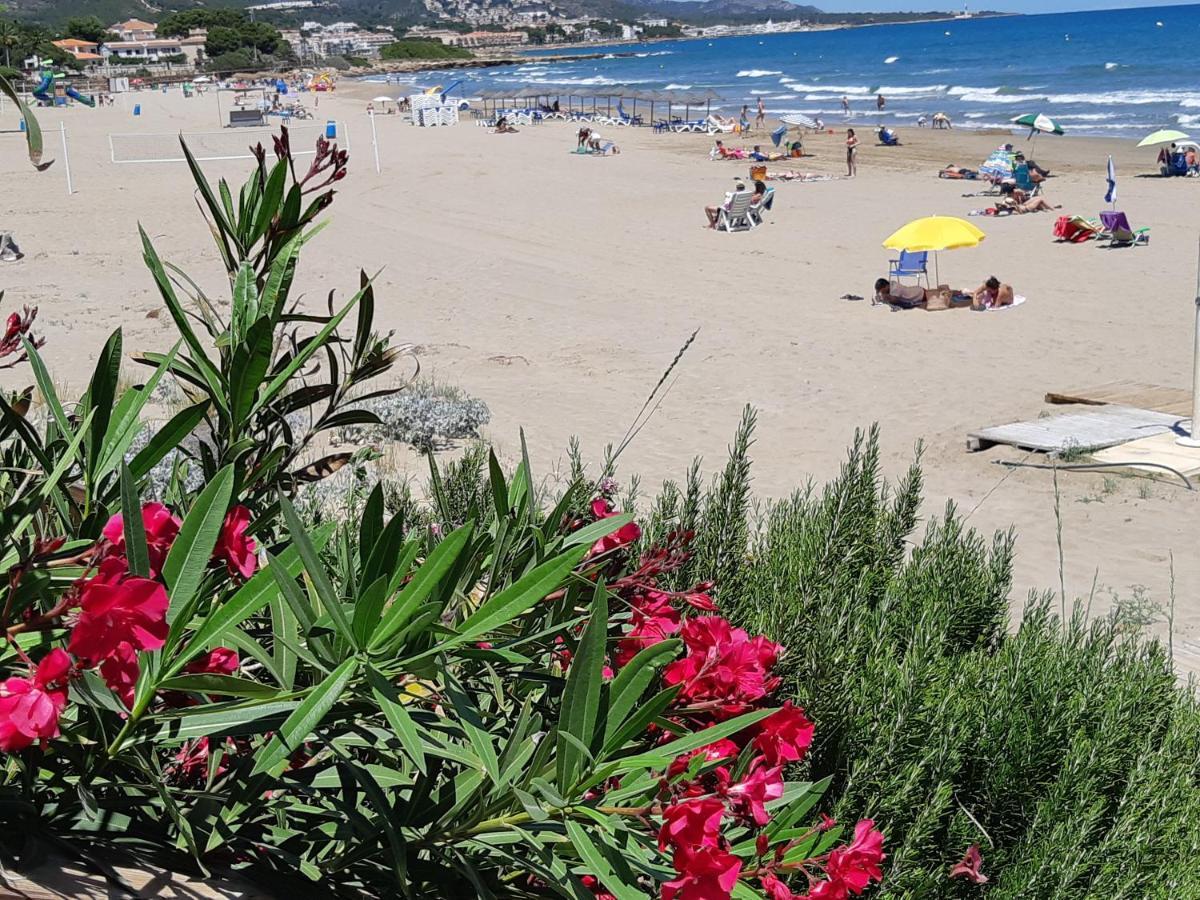 Mit Privat-pool Appartamento Alcossebre