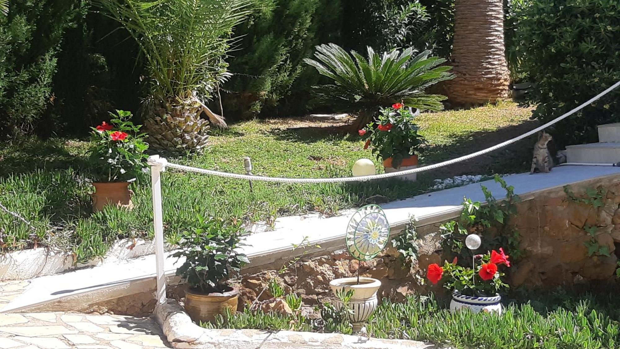 Mit Privat-pool *